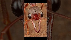 побывал-поиграл.mp4