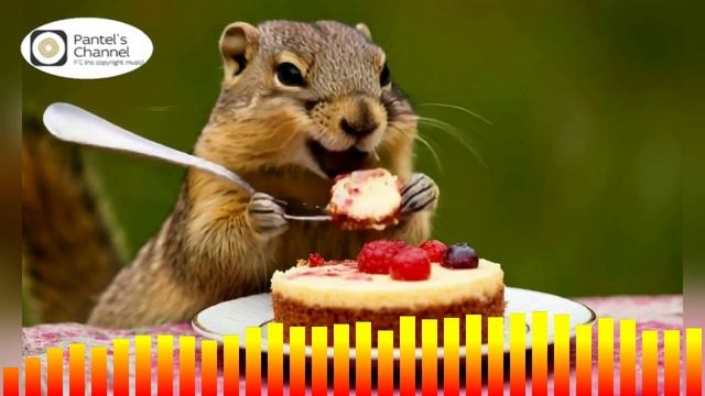 Pantel и ИИ - Суслик любит торт