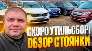 Утильсбор введут ❗ Что с ценами на автомобили под заказ ❓ Обзор стоянки ❗