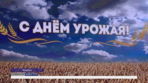 Информационный выпуск Майкопского телевидения 31.10.2025г