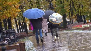 Тишковец: на каждый метр московских улиц выпало по ведру дождевой воды