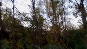 Тыквенный спас,прогулка