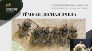 Племрепродуктор среднерусской пчелы и использование ее на крупных промышленных пасеках