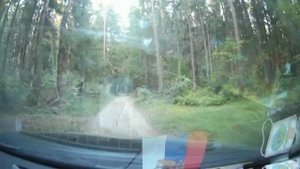 Песня Дар Любви