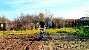 Осенняя культивация мотоблоком.