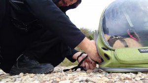 Демурзель выпускайте Кракена 😅🤭