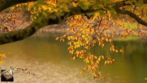 Сура Ясин на фоне природы