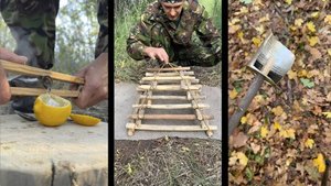 12 идей для выживания в лесу. Знания бушкрафта которые вам помогут!