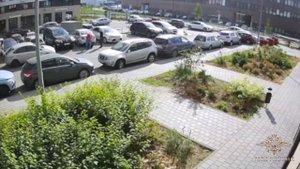 Ирина Волк: Полицейские из Одинцово задержали подозреваемого в хищении пожарных рукавов