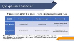 Часть 3. Где хранятся белки