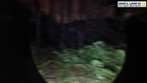 Налобный фонарь Rotekors RK-CT012-3G