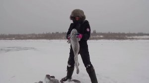 Рыбалка на Енисее. Проверка снастей на налима.