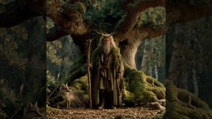 Послание от 29.10. Дух местности Красноярских лесов через Гузалию.