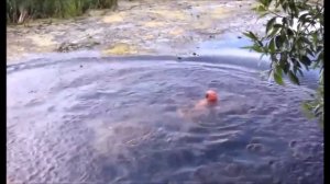 НЕУДАЧНЫЕ ПРЫЖКИ В ВОДУ..Смешно И больно..