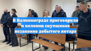 В Калининграде приговорили к колонии скупщиков незаконно добытого янтаря