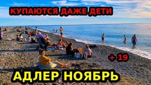 АДЛЕР | НОЯБРЬ | КУПАЮТСЯ ДАЖЕ ДЕТИ | МАНДАРИН | ЧАЙКА | ЮВ |ЛАЗУРЬ ОГОНЕК