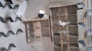 Потихоньку готовимся к зиме.