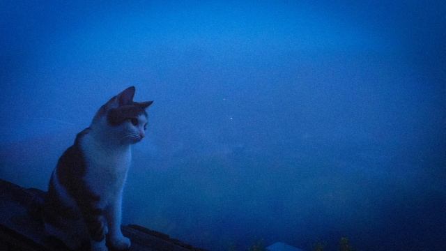 Атмосферный фонк|Night Ride Phonk 🚗 | 40 Min Atmospheric & Chill Music Mix смотреть онлайн