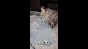 Сёма и Марсель 94 серия