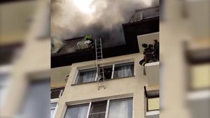 ФАКТЫ. Выпуск от 31.10.2025