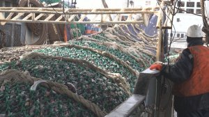 РЫБА ДЛЯ СТРАНЫ