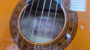 Видео №366994