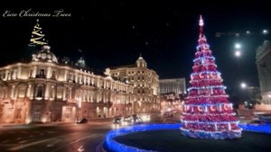 Ель_1000_и_1_ночь_Баку_СССР