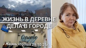 ЖИЗНЬ В ДЕРЕВНЕ _ ДЕЛА В ГОРОДЕ _ ЖИЗНЬ ХОРОША 29.10.25г