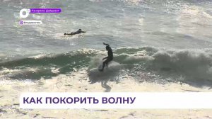Кубок Приморья по сёрфингу стал завершающим мероприятием сезона