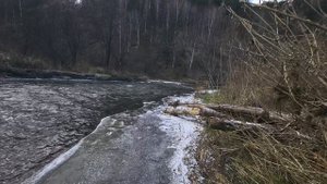 Медитативная фото прогулка по берегу Сибирской реки