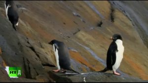 Документальные фильмы 24/7 | Телеканал RT.Док на русском