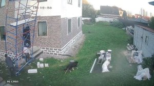 Везучая собака мимо-пробегака. Смотреть до конца! Жесть.