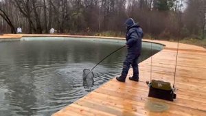 Лесной 2025-10-31 в 11.42.59_dbc5944d