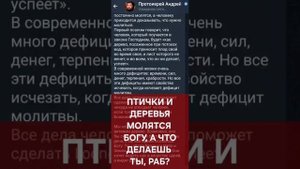 Андрей Ткачёв: птички молятся Богу! (31.10.25)