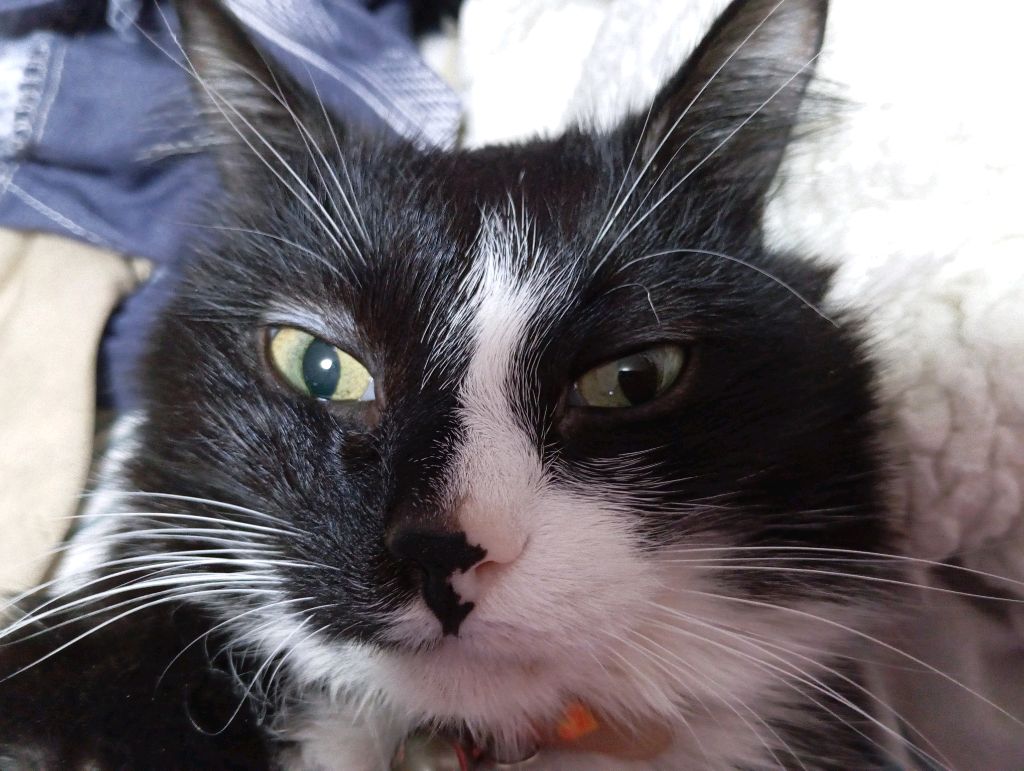 .... смотреть онлайн