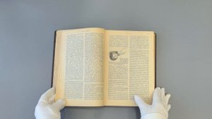 Менделеев Д. Основы химии (Антикварная книга 1903г.)