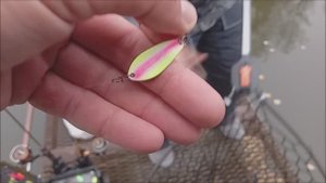 Продолжение рыбалки на спорт зоне. Клёвое место лосиный остров.