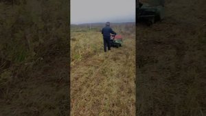 Осень 25 / 16 соток