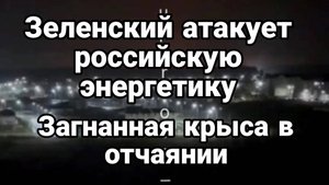 ТАМИР ШЕЙХ / ЗАГНАННАЯ КРЫСА АТАКУЕТ РОССИЙСКУЮ ЭНЕРГЕТИКУ новости сводки