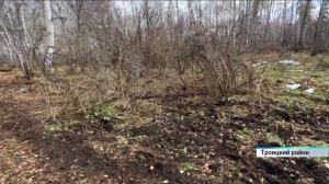 Семейная династия охраняет леса Алтайского края