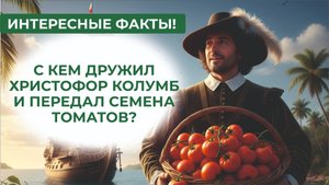 Лучшие, вкуснейшие сорта на дегустации народных томатов 2025 года! Вручение призов авторам.
