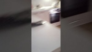 хз что 1 часть