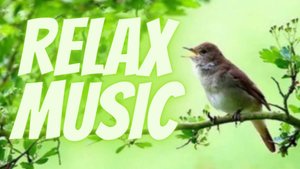 Нежная релакс музыка для души и ЖИЗНИ, а Пение птиц Успокаивает нервную систему.