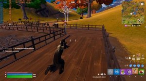 Fortnite - GamePlay + FPS - TOP-5)