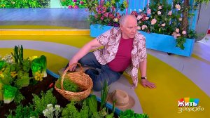 Резкое головокружение - и никого рядом. Что делать? Жить здорово! Фрагмент выпуска от 31.10.2025