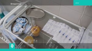 Новости Владимира и Владимирской области за 1 ноября 2025 года. Вечерний выпуск