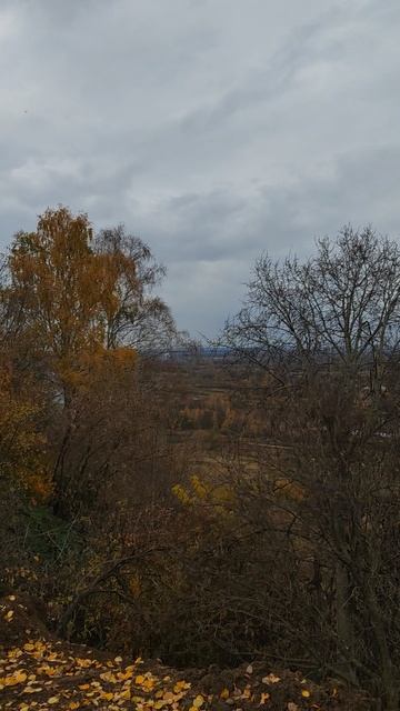 VID_20251015_150008 смотреть онлайн