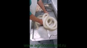 Проверка, очистки черевы МРС, КРС и свиней