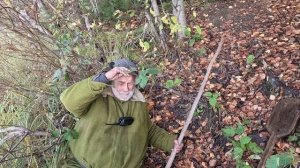 Золотой октябрь #3