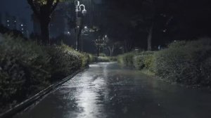 Звуки дождя для сна и снятия стресса.